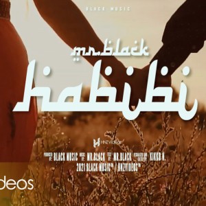habibi(Mr.Black)