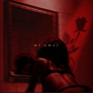 mi amor
