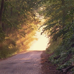 Ambient Music