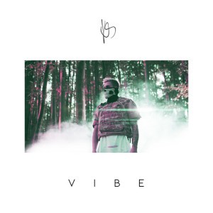Vibe