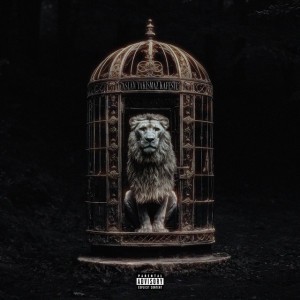 ASLAN YAKIŞMAZ KAFESTE