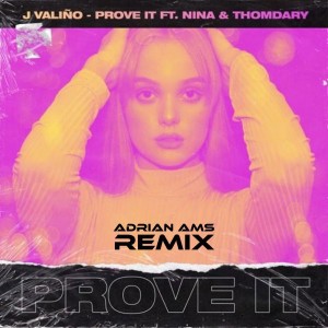 Prove It - Adrian Ams Remix
