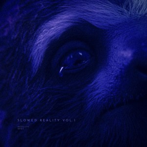 my dark fantasy dream - slowed + reverb