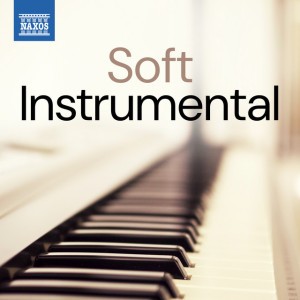 Ave Maria, CG 89 (After J.S. Bach's BWV 846) [Arr. for Flute & Harp by Donald Sosin]