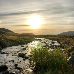 Lífið