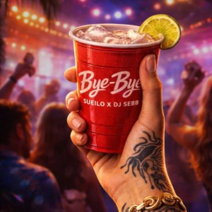 BYE BYE by DJ SEBB & SUEILO