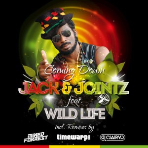 Coming Down (Timewarp inc Instrumental Remix) feat. Wild Life