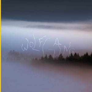 Wolfgang - DJ Balduin Remix