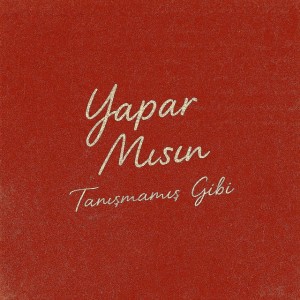 YAPAR MISIN? by Poizi & Murat Boz