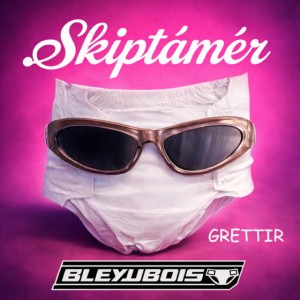 Skiptámér