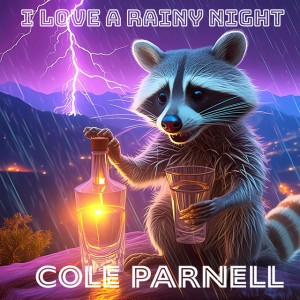 I Love A Rainy Night - Boot Stompin' Mix Extended