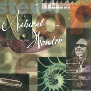 Another Star - Natural Wonder Live Version by Stevie Wonder