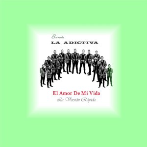 El Amor de Mi Vida la Version Rapidas