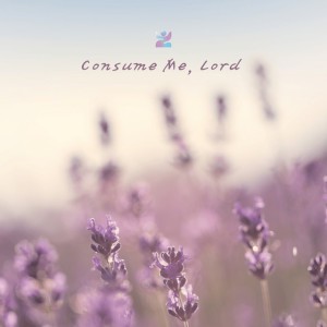 Consume Me, Lord (Rena Mig)
