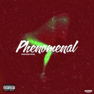 Phenomenal