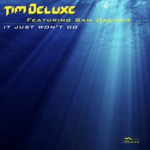 It Just Won't Do (club mix)