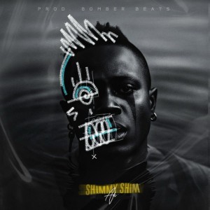 Shimmy Shim by A.T.I