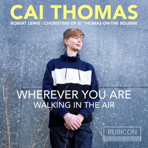 The Snowman: Walking in the Air