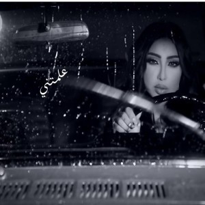 علمتني