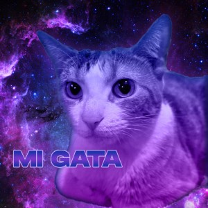 mi gata - speed up - Remix