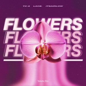 Flowers - Techno