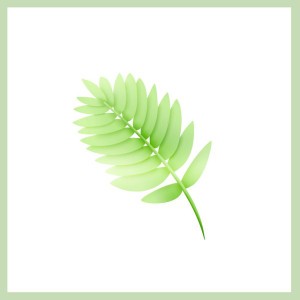 Herb