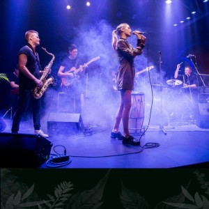 Meilei Nieko (Live at Gyvas Lietus)