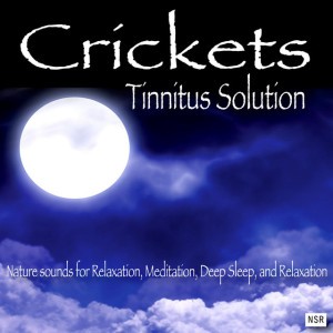 Ocean Waves - Tinnitus Cure