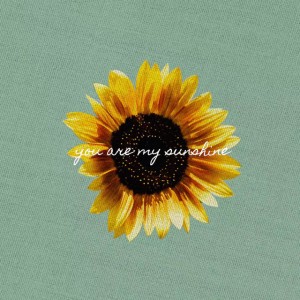 You Are My Sunshine