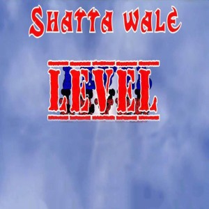 Level
