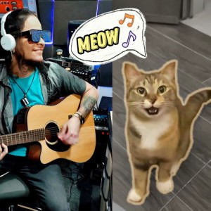Meow nº1 (The Cat song)