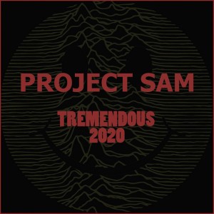 Tremendous 2020