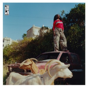 פוטנציאל + זה זה