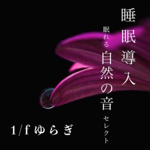 睡眠導入 自然音セレクト - 夜の森での焚き火 -