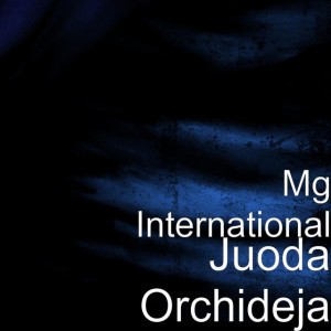 Juoda Orchideja