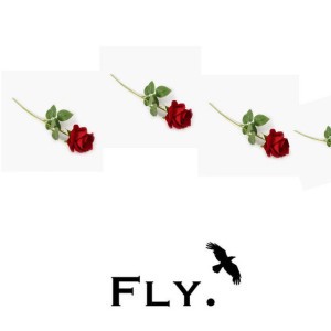 Fly