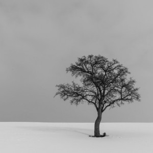 Sorrow