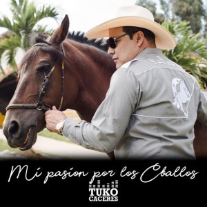 Mi Pasión por los Caballos