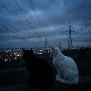 stay with me