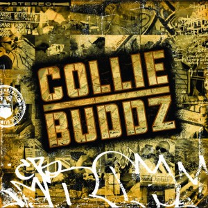 Blind To You (Explicit Album Version) by Collie Buddz