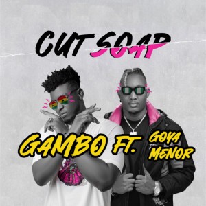Cut Soap