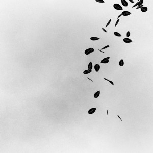 In Lieu of Words
