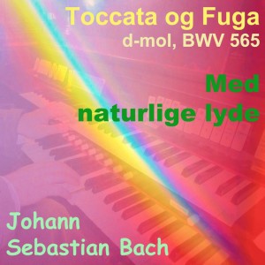 Toccata og Fuga in D Minor, BWV 565 - Ved Kaminen Version