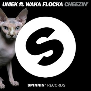Cheezin' (feat. Waka Flocka Flame) - Radio Edit