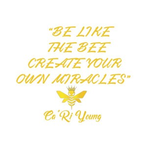 Santa (BE LIKE THE BEE CREATE YOUR OWN MIRACLES) by Ca'Ri Young