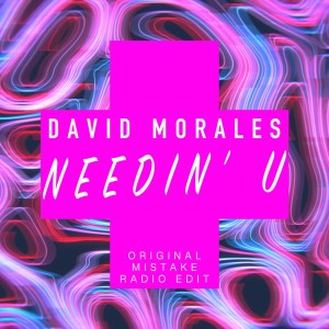 Needin' U (David Morales Presents The Face) (Mistake Mix)