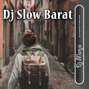 Dj Slow Alan Walker