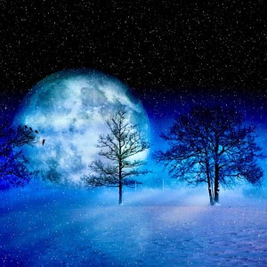 Snowflakes