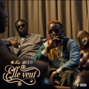 Elle veut (feat. Didi B)