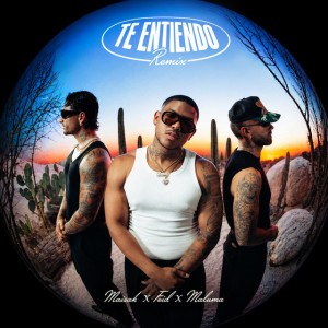 Te Entiendo - Remix